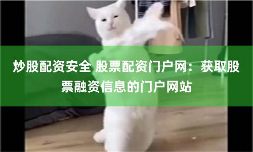 炒股配资安全 股票配资门户网：获取股票融资信息的门户网站