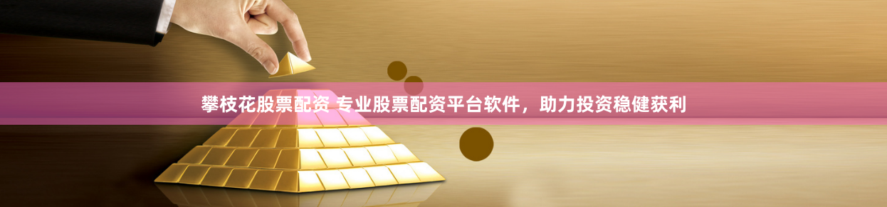 攀枝花股票配资 专业股票配资平台软件，助力投资稳健获利