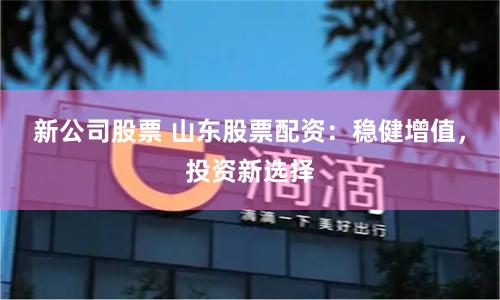 新公司股票 山东股票配资：稳健增值，投资新选择