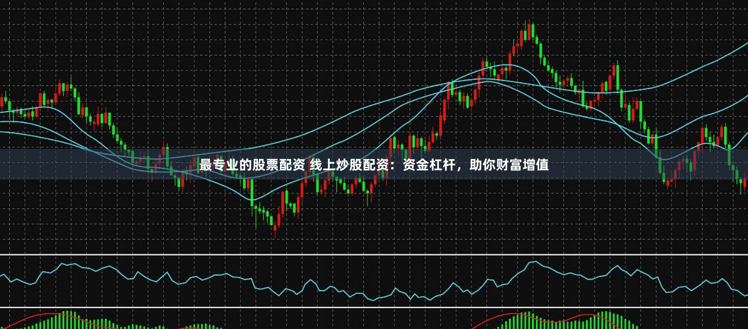 最专业的股票配资 线上炒股配资:资金杠杆,助你财富增值
