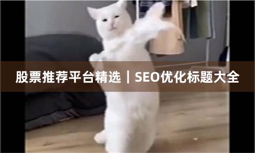 股票推荐平台精选｜SEO优化标题大全