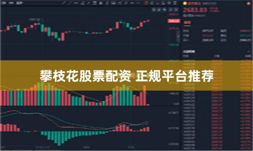 攀枝花股票配资 正规平台推荐
